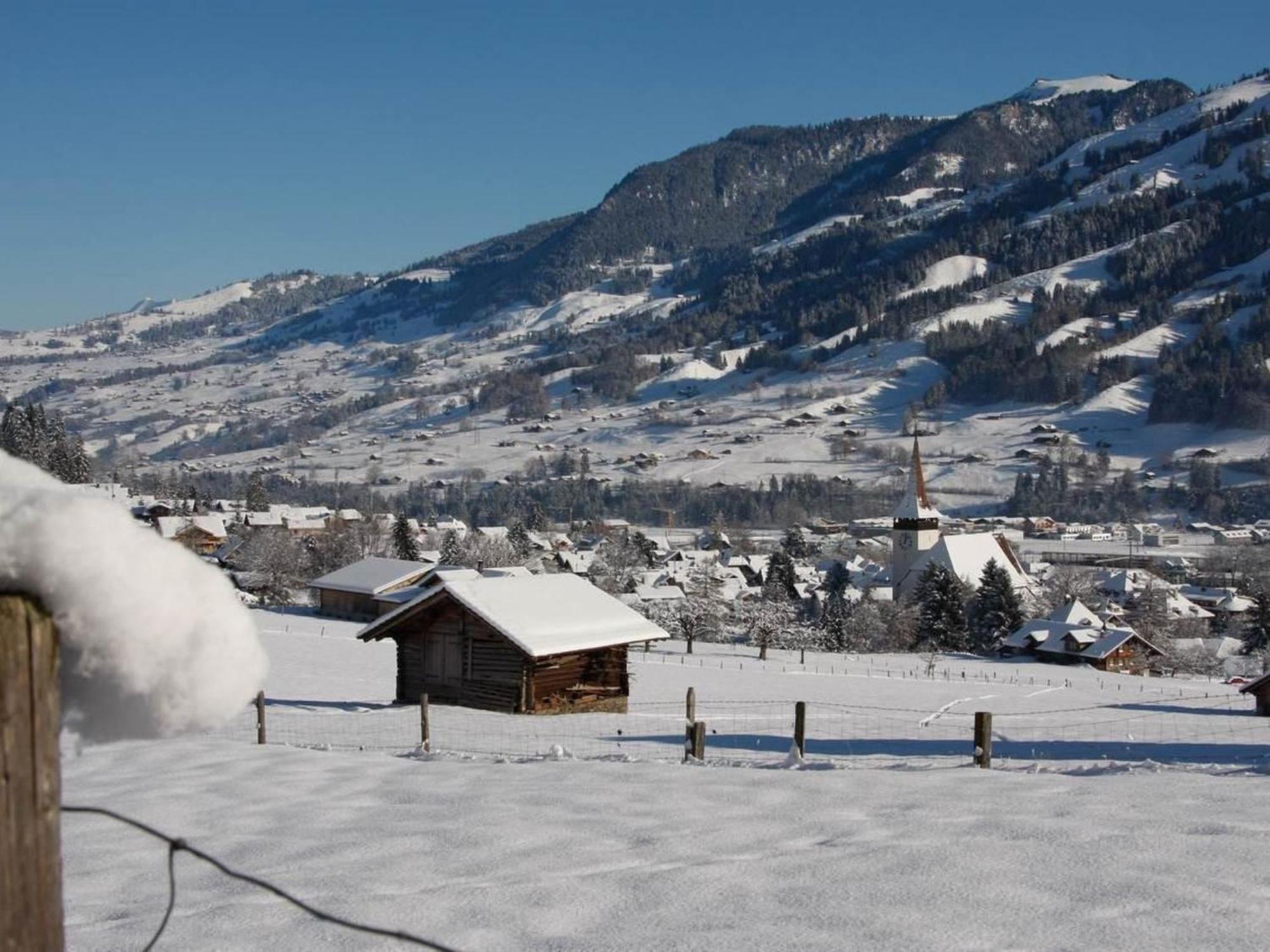 Apartment Chalet Bodenweg Frutigen Buitenkant foto